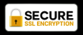 SSL icon